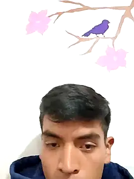 DavidVergagigante420 online show from 11-05-25, 07:36