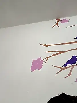 DavidVergagigante420 online show from 02-05-26, 05:12