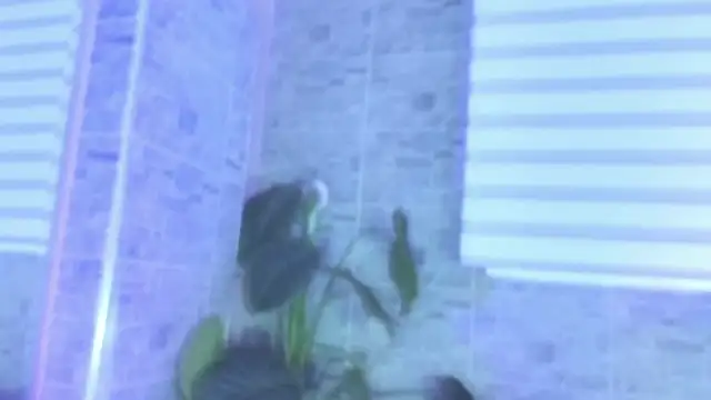 Snapshot of SophiaBloss chatting on 11-22-25, 12:26 SophiaBloss online show from 11-22-25, 12:26