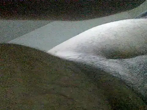 LuispingonX69 online show from 05-25-26, 11:44