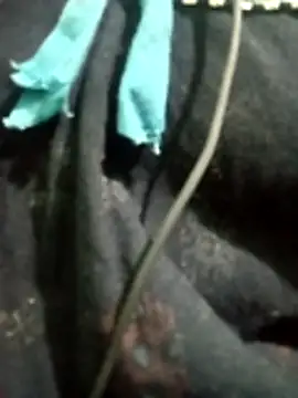 Telugu hot cpl online show from 12-16-25, 05:51