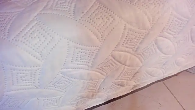 Ambeer fox  online show from 03-26-26, 12:55