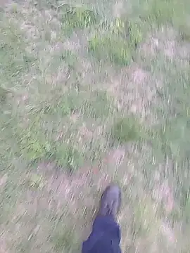 Snapshot of Pondo10 chatting on 11-13-25, 03:55 Pondo10 online show from 11-13-25, 03:55