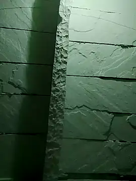 Snapshot of PoojaGupta66 chatting on 11-30-25, 05:17 PoojaGupta66 online show from 11-30-25, 05:17