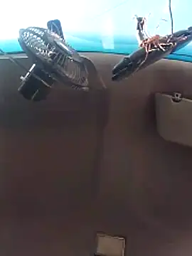 Ghkjccvk online show from 02-20-26, 03:34