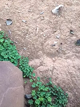 Snapshot of Ag_punam chatting on 02-10-26, 02:15 Ag punam online show from 02-10-26, 02:15