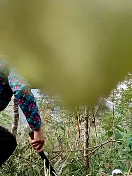 kemtuoi-sex online show from 04-11-26, 10:19