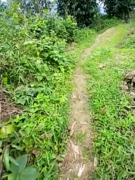 kemtuoi-sex online show from 06-07-26, 03:21