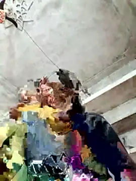 Snapshot of Cm_pooja chatting on 01-10-26, 10:39 Cm pooja online show from 01-10-26, 10:39