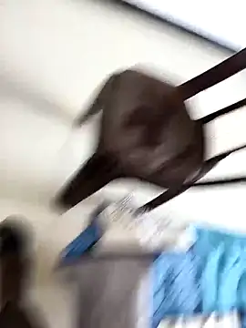 Chanderi19 online show from 09-30-25, 09:25