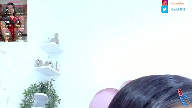 Snapshot of carlalee_e chatting on 11-18-25, 07:07 carlalee e online show from 11-18-25, 07:07