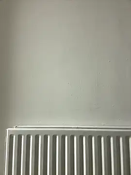 dlasian2026 online show from 10-31-25, 11:06