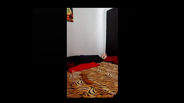 SexyLove1825 online show from 09-29-25, 01:22