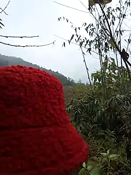 bonnie-00 online show from 01-07-26, 02:47