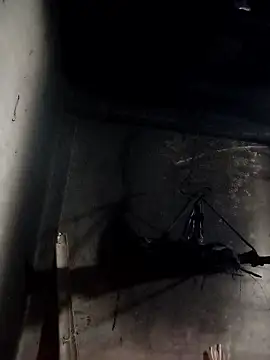 Snapshot of Dung_x chatting on 01-10-26, 01:02 Dung x online show from 01-10-26, 01:02