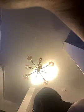 SienaWild online show from 11-02-25, 04:15