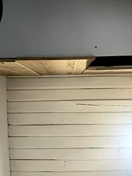 SienaWild online show from 12-01-25, 03:11