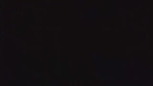 SienaWild online show from 12-22-25, 05:32