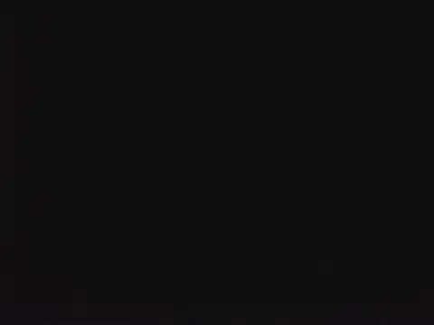 SienaWild online show from 01-13-26, 10:04