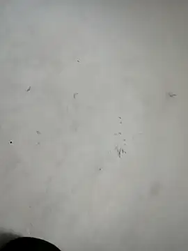 Snapshot of ndon63421 chatting on 10-03-25, 02:58 ndon63421 online show from 10-03-25, 02:58