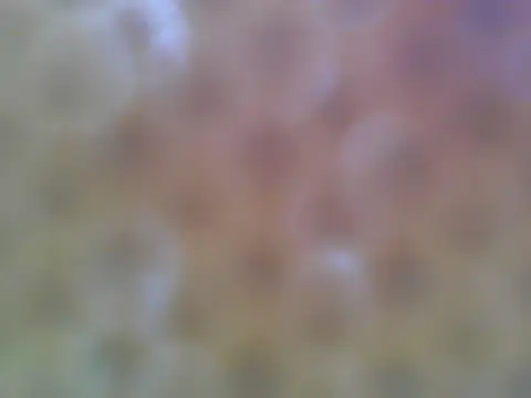 asian bhebs1 online show from 09-21-25, 10:55