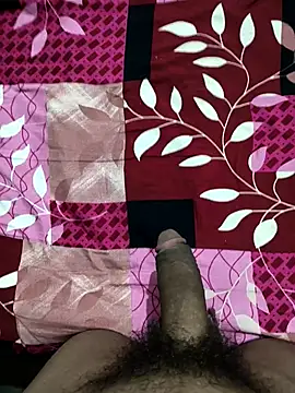 bold guy 1234 online show from 10-22-25, 09:03