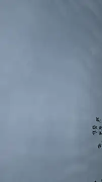 lulu5211 online show from 10-26-25, 09:37