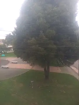 Snapshot of Girl_luna_ chatting on 10-03-25, 05:43 Girl luna online show from 10-03-25, 05:43