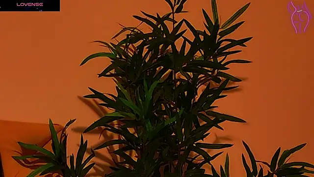 CoraVex online show from 09-25-25, 04:27