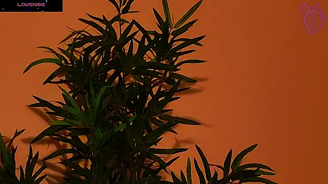 CoraVex online show from 09-26-25, 04:27