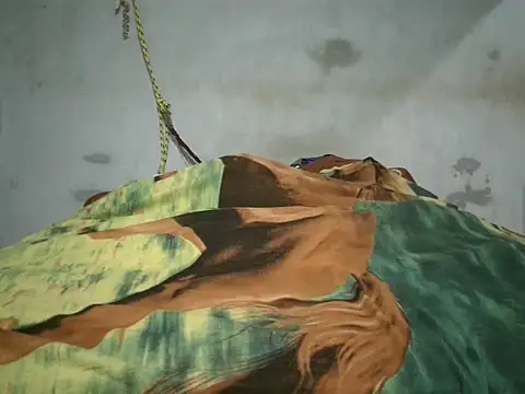 Alcee490 online show from 10-23-25, 03:17