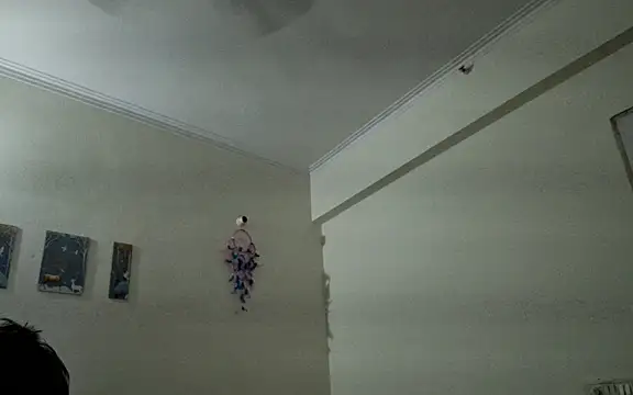 Aasmaan69Aranya online show from 04-01-26, 09:56