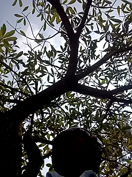 ipvk online show from 03-02-26, 07:15