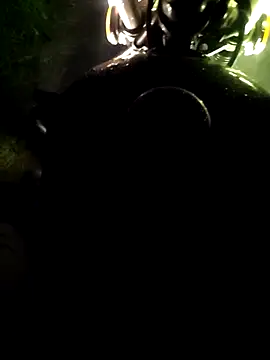 DICKLANKA online show from 04-15-26, 02:13