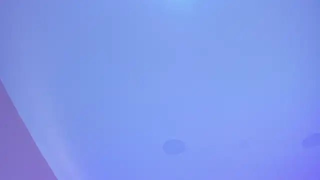 cata monrey online show from 10-29-25, 07:37