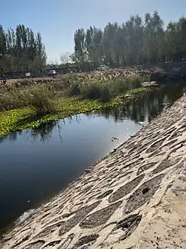 Snapshot of Tang-88 chatting on 10-26-25, 06:52 Tang-88 online show from 10-26-25, 06:52