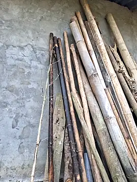 diamond-- online show from 04-17-26, 12:57