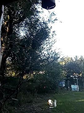 -Axelconda420 online show from 05-04-26, 08:49