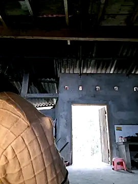 Snapshot of xuxulovezz chatting on 12-03-25, 12:18 xuxulovezz online show from 12-03-25, 12:18