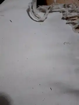 SALCEDO 041198 online show from 10-11-25, 10:52