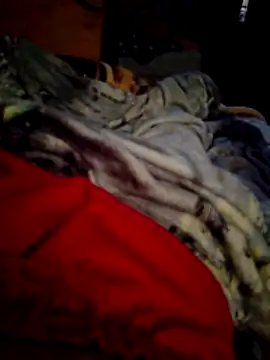 SALCEDO 041198 online show from 11-14-25, 11:42