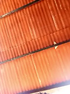 Snapshot of Goofygoody17 chatting on 02-08-26, 10:29 Goofygoody17 online show from 02-08-26, 10:29