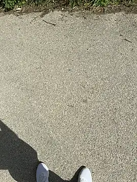 Italianofirenze online show from 04-15-26, 09:49