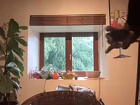 Snapshot of chtentation chatting on 02-14-26, 02:03 chtentation online show from 02-14-26, 02:03