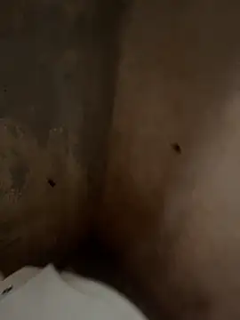 Snapshot of favelado33 chatting on 09-26-25, 04:22 favelado33 online show from 09-26-25, 04:22