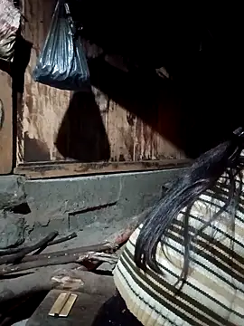 bree-zz online show from 03-12-26, 10:16