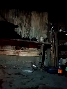 bree-zz online show from 04-07-26, 10:31