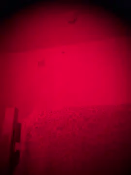 bellacagyal online show from 02-02-26, 09:19