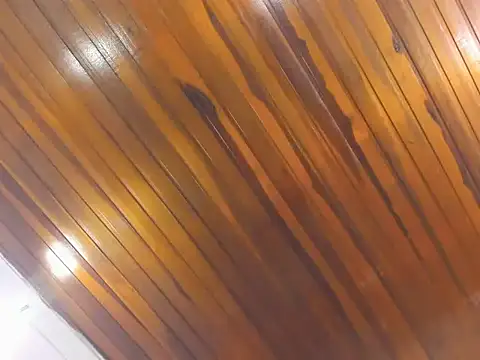 Snapshot of AliceCat_01 chatting on 11-14-25, 04:33 AliceCat 01 online show from 11-14-25, 04:33