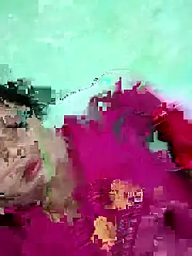 Na shreya online show from 04-12-26, 03:28